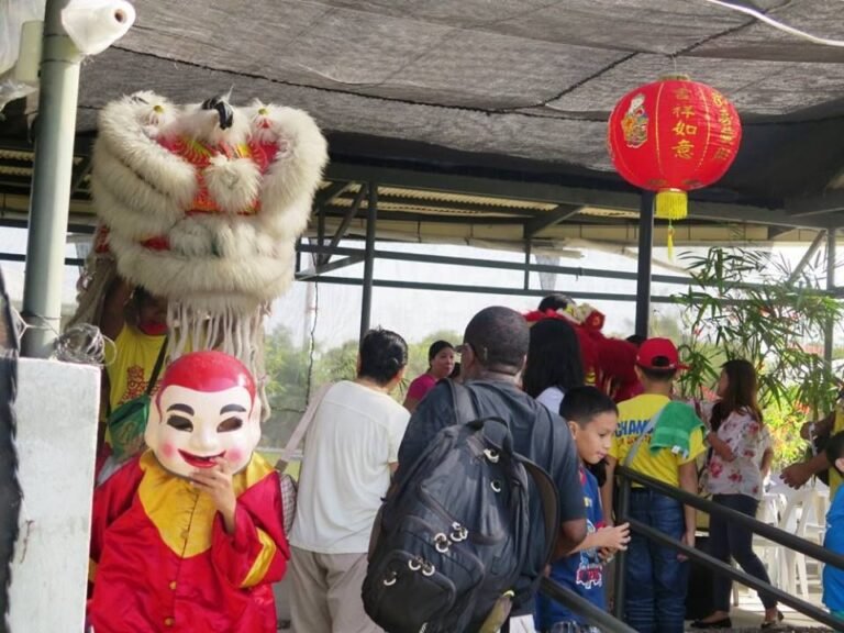 New Year Lion Dance of the Chamber @ Negros Farmers Weekend Market