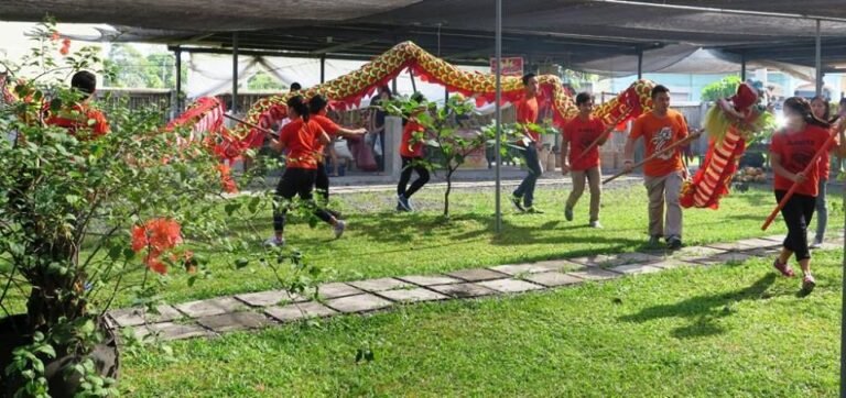 New Year Lion Dance of the Chamber @ Negros Farmers Weekend Market