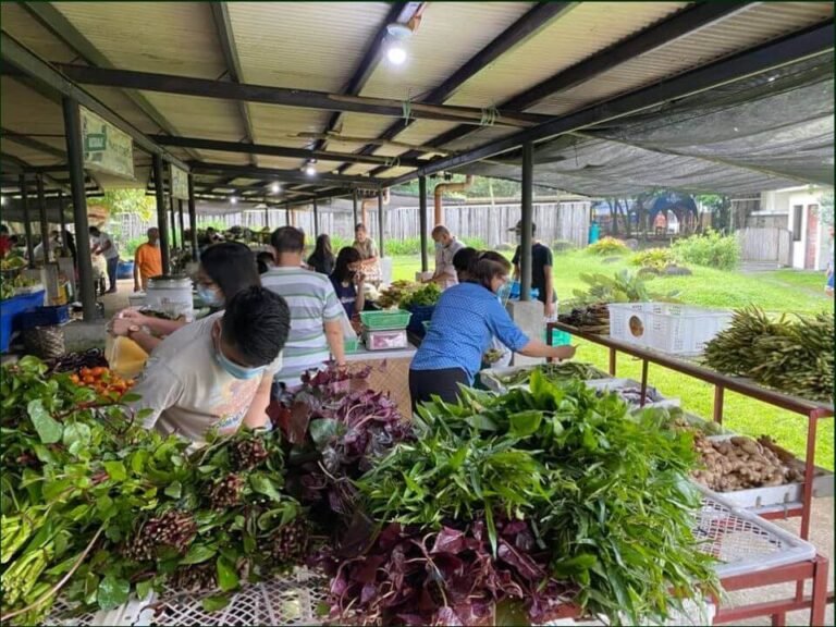 Happy 9th anniversary Negros Farmers Weekend Market!