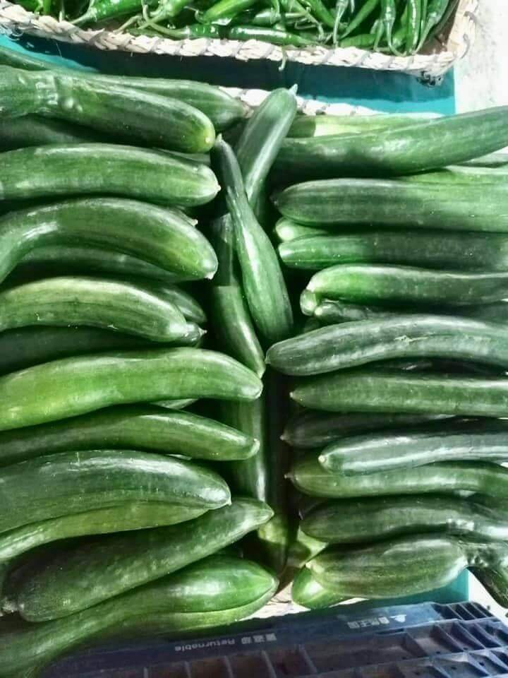 Saturday Habit time at the Negros Farmers Weekend Market! Sunflowers and Hot Pepper in pots, freshly harvested basil leaves, green chili peppers