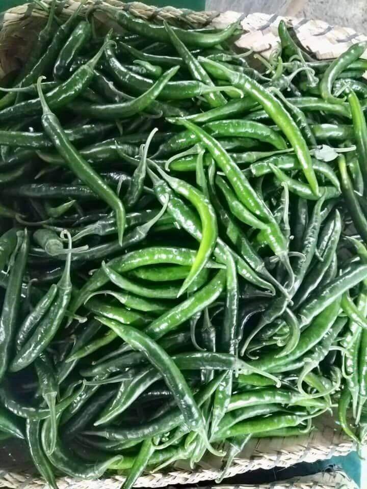 Saturday Habit time at the Negros Farmers Weekend Market! Sunflowers and Hot Pepper in pots, freshly harvested basil leaves, green chili peppers