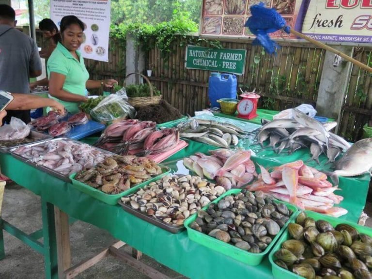 Quality Vegetables, Fruits, Meat and Seafoods @ Negros Farmers Weekend Market